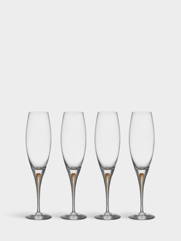 Intermezzo champagneglas guld 26cl 4-pack